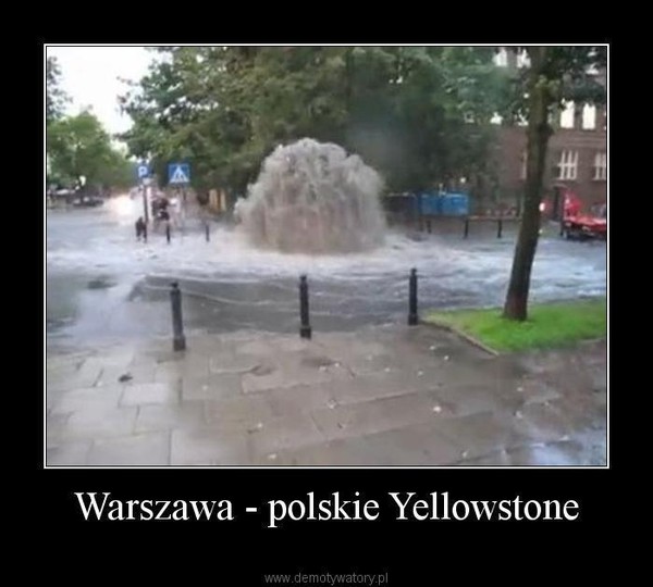 Warszawa - polskie Yellowstone