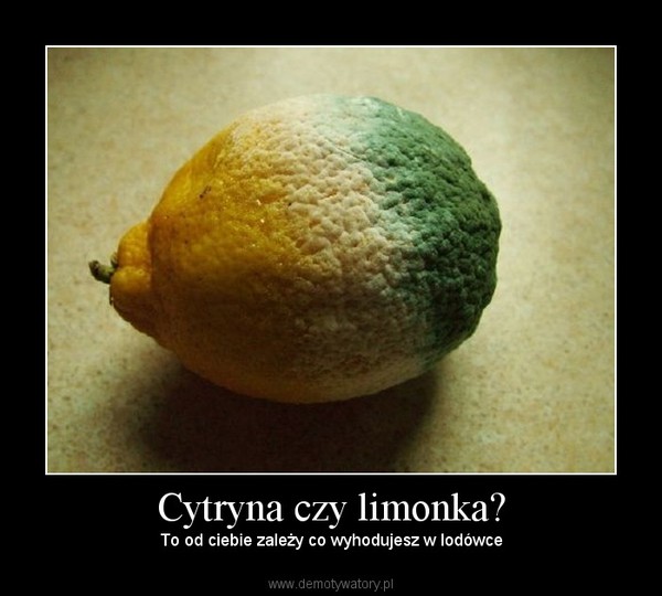 Cytryna czy limonka?