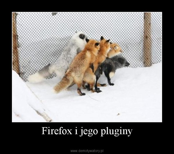 Firefox i jego pluginy