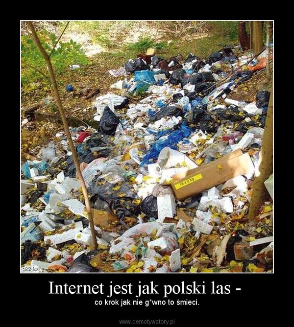 Internet jest jak polski las - 