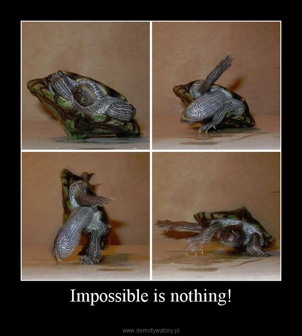 Impossible is nothing! –   