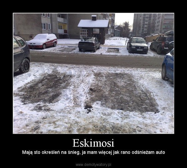 Eskimosi – Mają sto określeń na śnieg, ja mam więcej jak rano odśnieżam auto 