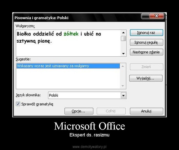 Microsoft Office – Ekspert ds. rasizmu 