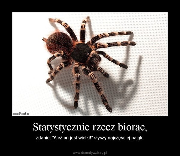 Statystycznie rzecz biorąc, – zdanie: "Ależ on jest wielki!" słyszy najczęściej pająk. 