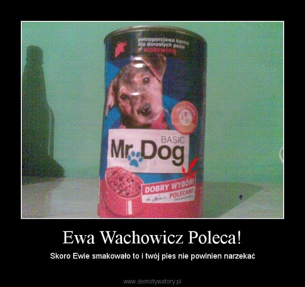 Ewa Wachowicz Poleca!