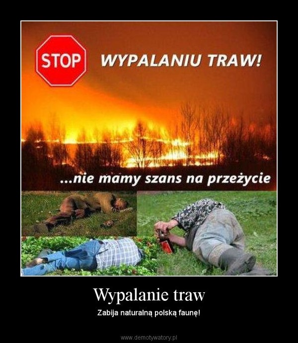 Wypalanie traw – Zabija naturalną polską faunę! 