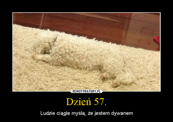 Dzień 57. – Ludzie ciągle myślą, że jestem dywanem 