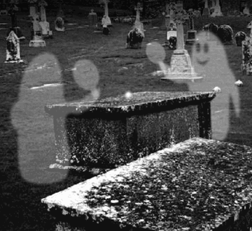 Swięto zmarłych się skończyło – duchy wracają do swej codzienności 