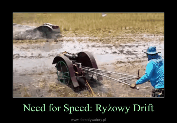 Need for Speed: Ryżowy Drift –  