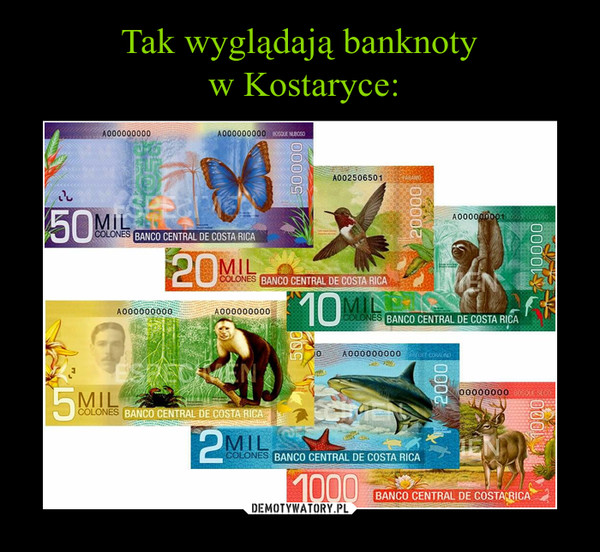 Tak wyglądają banknoty
 w Kostaryce: