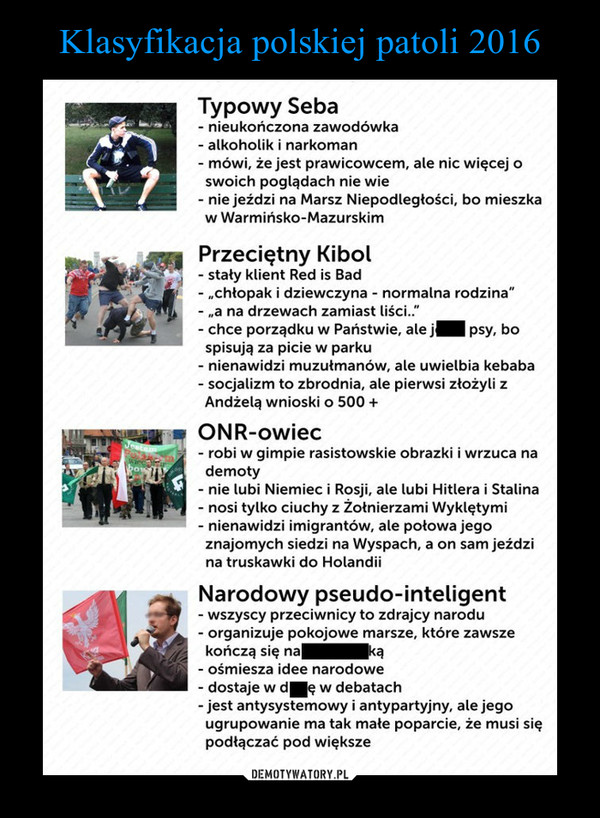 Klasyfikacja polskiej patoli 2016