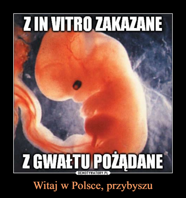 Witaj w Polsce, przybyszu –  