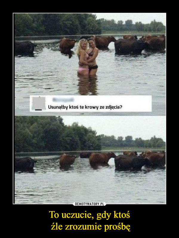 To uczucie, gdy ktoś źle zrozumie prośbę –  Usunąłby ktoś te krowy ze zdjęcia?