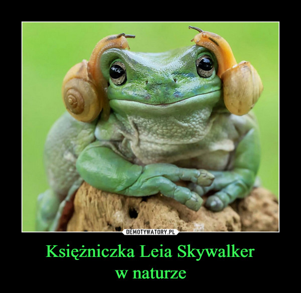 Księżniczka Leia Skywalkerw naturze –  