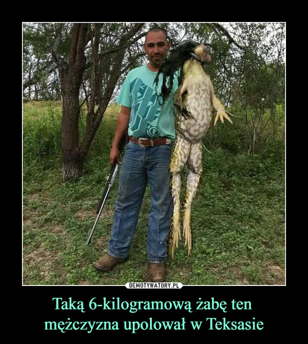 Taką 6-kilogramową żabę ten mężczyzna upolował w Teksasie –  