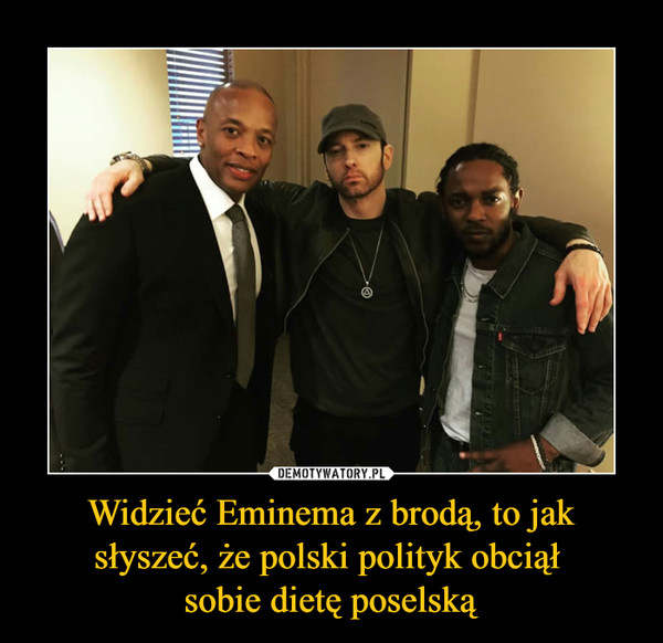 Widzieć Eminema z brodą, to jak słyszeć, że polski polityk obciął sobie dietę poselską –  