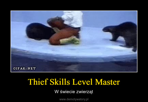 Thief Skills Level Master – W świecie zwierząt 