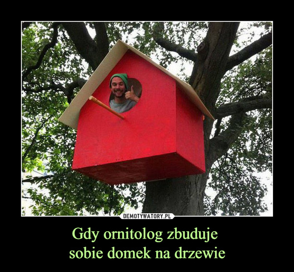 Gdy ornitolog zbuduje sobie domek na drzewie –  
