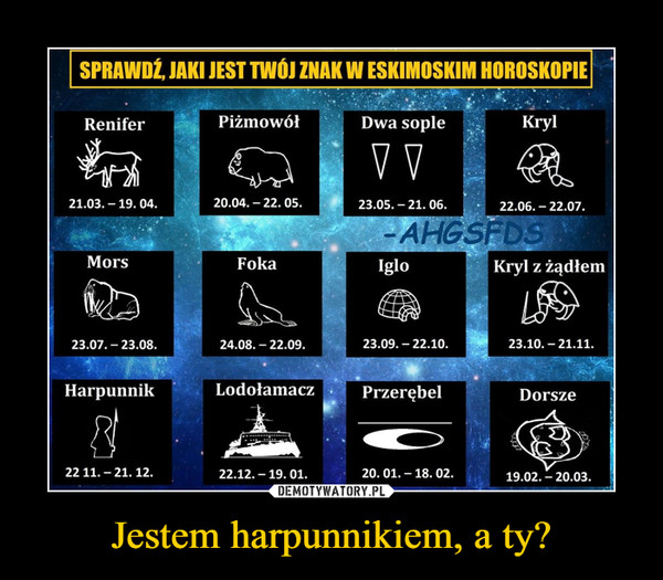 Jestem harpunnikiem, a ty? –  sprawdź, jaki jest twój znak w eskimoskim horoskopie