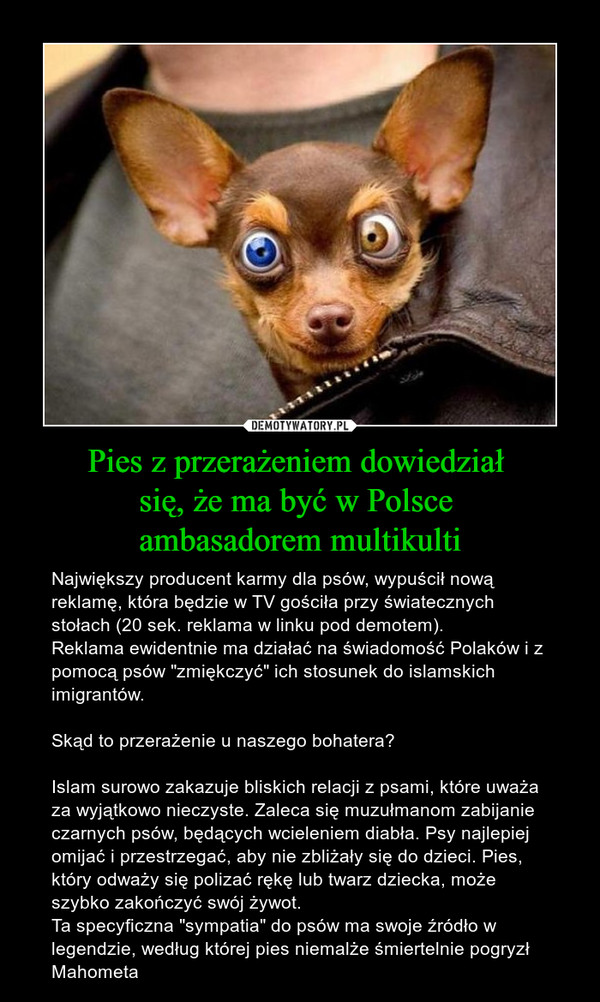 Pies z przerażeniem dowiedział się, że ma być w Polsce ambasadorem multikulti – Największy producent karmy dla psów, wypuścił nową reklamę, która będzie w TV gościła przy światecznych stołach (20 sek. reklama w linku pod demotem).Reklama ewidentnie ma działać na świadomość Polaków i z pomocą psów "zmiękczyć" ich stosunek do islamskich imigrantów.Skąd to przerażenie u naszego bohatera?Islam surowo zakazuje bliskich relacji z psami, które uważa za wyjątkowo nieczyste. Zaleca się muzułmanom zabijanie czarnych psów, będących wcieleniem diabła. Psy najlepiej omijać i przestrzegać, aby nie zbliżały się do dzieci. Pies, który odważy się polizać rękę lub twarz dziecka, może szybko zakończyć swój żywot. Ta specyficzna "sympatia" do psów ma swoje źródło w legendzie, według której pies niemalże śmiertelnie pogryzł Mahometa 