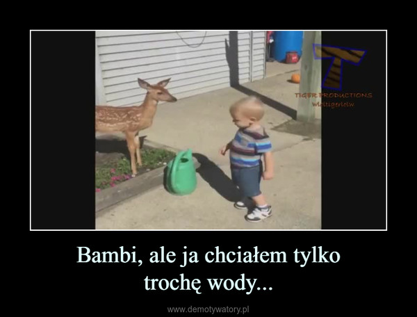 Bambi, ale ja chciałem tylkotrochę wody... –  