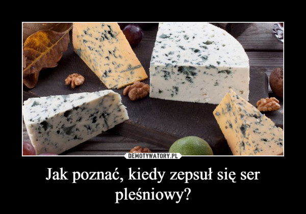 Jak poznać, kiedy zepsuł się ser pleśniowy? –  