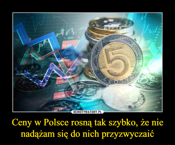 Ceny w Polsce rosną tak szybko, że nie nadążam się do nich przyzwyczaić –  