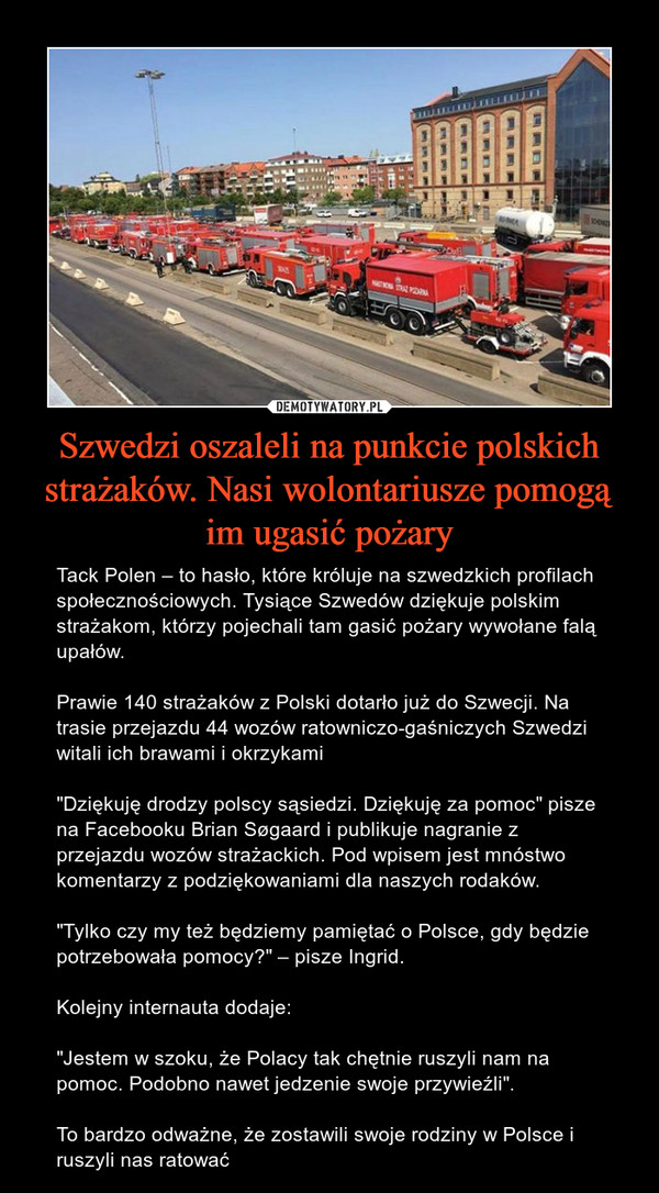 Szwedzi oszaleli na punkcie polskich strażaków. Nasi wolontariusze pomogą im ugasić pożary