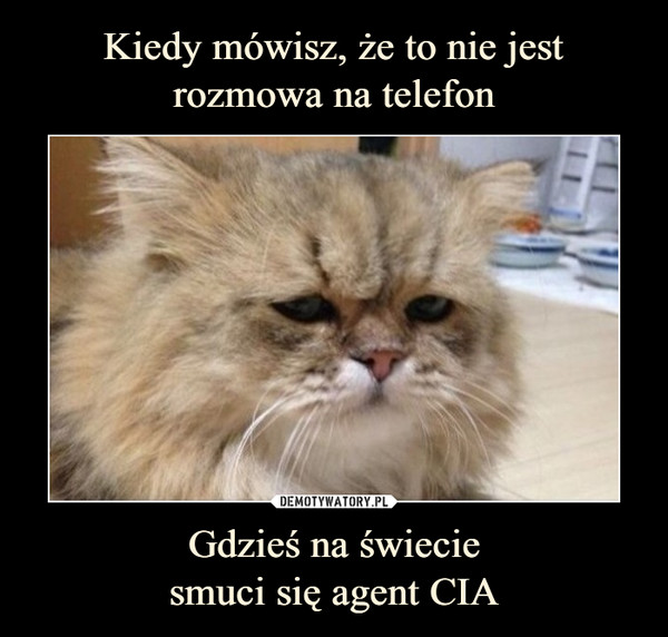 Gdzieś na świeciesmuci się agent CIA –  