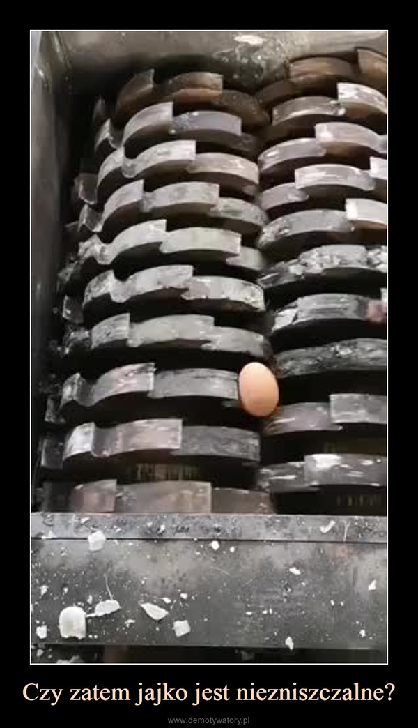 Czy zatem jajko jest niezniszczalne? –  