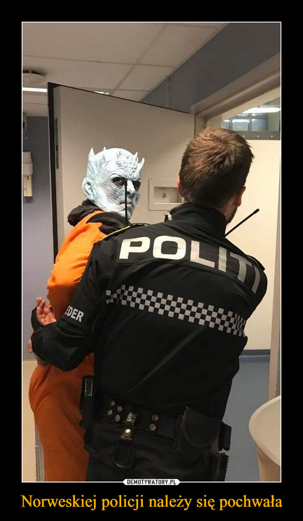 Norweskiej policji należy się pochwała –  