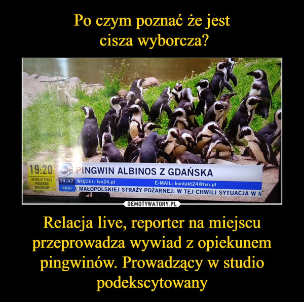 Relacja live, reporter na miejscu przeprowadza wywiad z opiekunem pingwinów. Prowadzący w studio podekscytowany –  