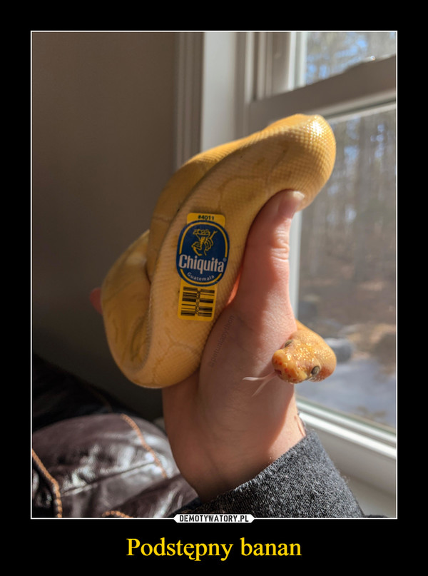 Podstępny banan –  