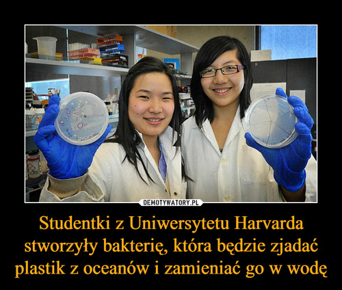 Studentki z Uniwersytetu Harvarda stworzyły bakterię, która będzie zjadać plastik z oceanów i zamieniać go w wodę