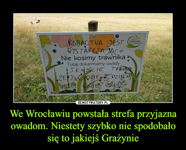 We Wrocławiu powstała strefa przyjazna owadom. Niestety szybko nie spodobało się to jakiejś Grażynie –  