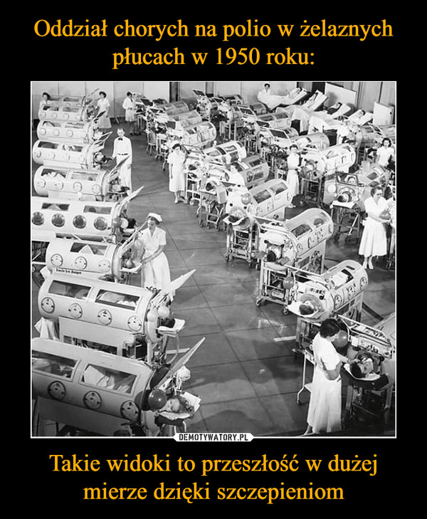 Oddział chorych na polio w żelaznych płucach w 1950 roku: Takie widoki to przeszłość w dużej mierze dzięki szczepieniom