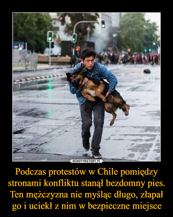 Podczas protestów w Chile pomiędzy stronami konfliktu stanął bezdomny pies. Ten mężczyzna nie myśląc długo, złapał go i uciekł z nim w bezpieczne miejsce –  