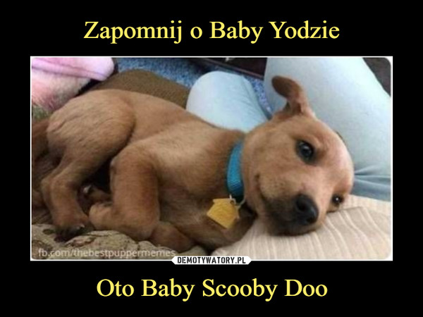 Oto Baby Scooby Doo –  