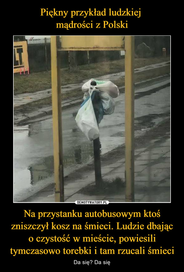 Piękny przykład ludzkiej 
mądrości z Polski Na przystanku autobusowym ktoś zniszczył kosz na śmieci. Ludzie dbając o czystość w mieście, powiesili tymczasowo torebki i tam rzucali śmieci