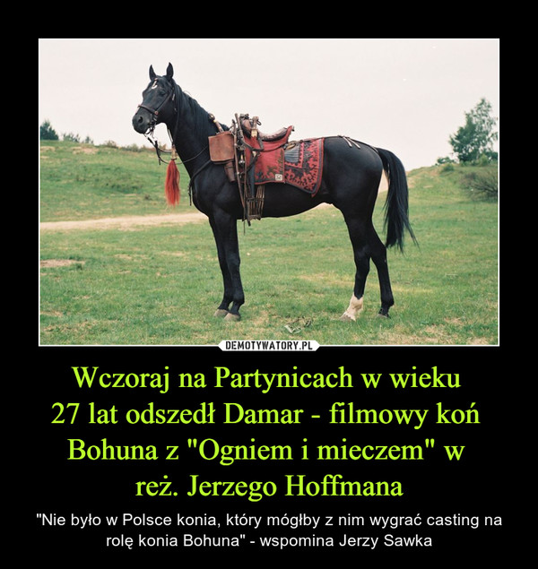 Wczoraj na Partynicach w wieku 
27 lat odszedł Damar - filmowy koń 
Bohuna z "Ogniem i mieczem" w 
reż. Jerzego Hoffmana