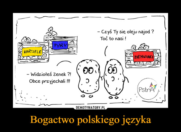 Bogactwo polskiego języka