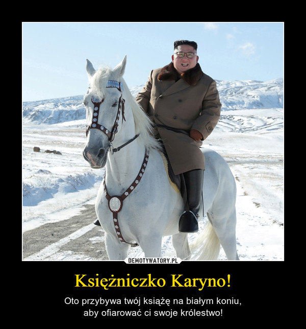 Księżniczko Karyno! – Oto przybywa twój książę na białym koniu,aby ofiarować ci swoje królestwo! 