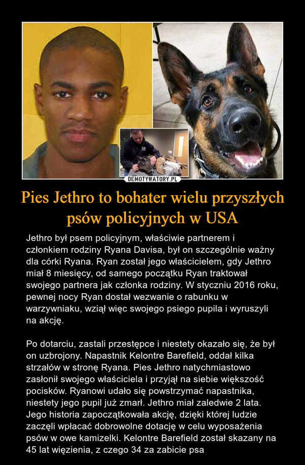 Pies Jethro to bohater wielu przyszłych psów policyjnych w USA