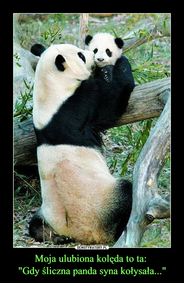 Moja ulubiona kolęda to ta: 
"Gdy śliczna panda syna kołysała..."