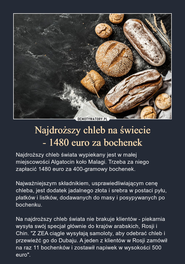 Najdroższy chleb na świecie
- 1480 euro za bochenek