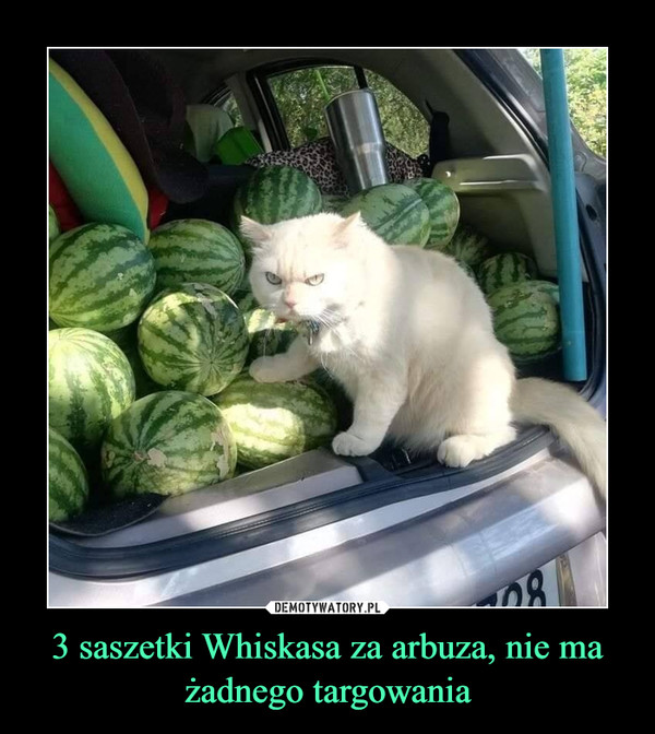 3 saszetki Whiskasa za arbuza, nie ma żadnego targowania –  