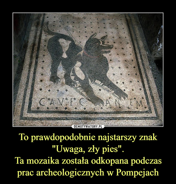 To prawdopodobnie najstarszy znak "Uwaga, zły pies".Ta mozaika została odkopana podczas prac archeologicznych w Pompejach –  