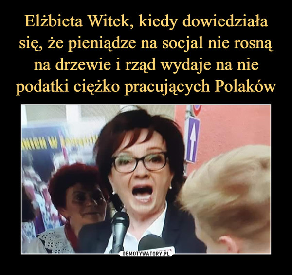 Elżbieta Witek, kiedy dowiedziała się, że pieniądze na socjal nie rosną na drzewie i rząd wydaje na nie podatki ciężko pracujących Polaków