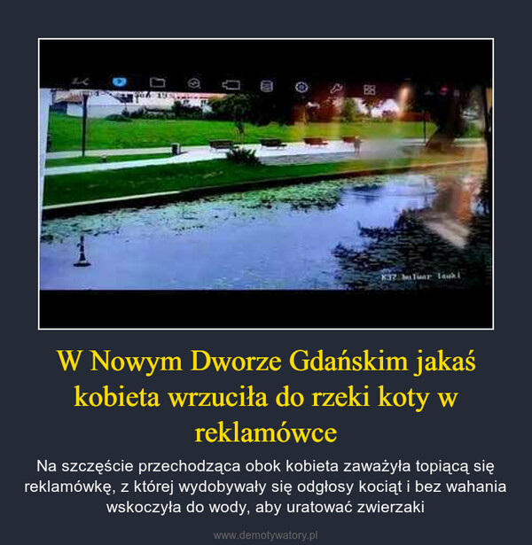 W Nowym Dworze Gdańskim jakaś kobieta wrzuciła do rzeki koty w reklamówce – Na szczęście przechodząca obok kobieta zaważyła topiącą się reklamówkę, z której wydobywały się odgłosy kociąt i bez wahania wskoczyła do wody, aby uratować zwierzaki 