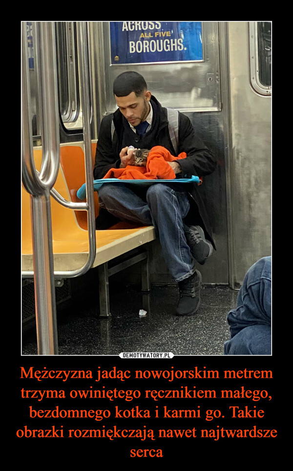 Mężczyzna jadąc nowojorskim metrem trzyma owiniętego ręcznikiem małego, bezdomnego kotka i karmi go. Takie obrazki rozmiękczają nawet najtwardsze serca –  
